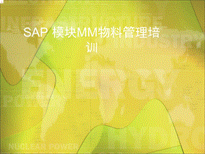 SAP系统MM模块基本原理培训课件.ppt