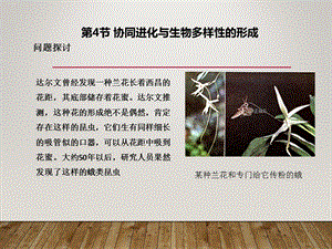 《协同进化与生物多样性的形成》课件1.ppt