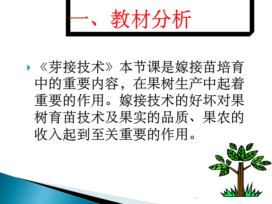 T字型芽接与嵌芽接技术课件.ppt_第3页