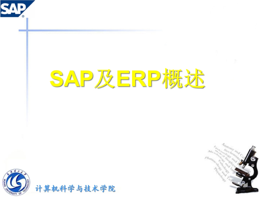 SAP及ERP概述-精选课件.ppt_第1页