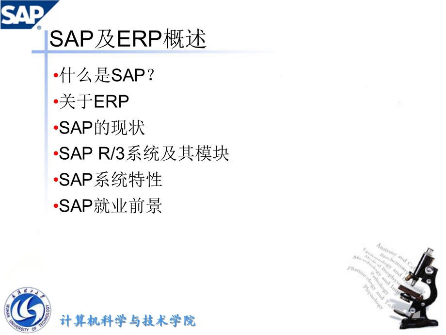 SAP及ERP概述-精选课件.ppt_第2页