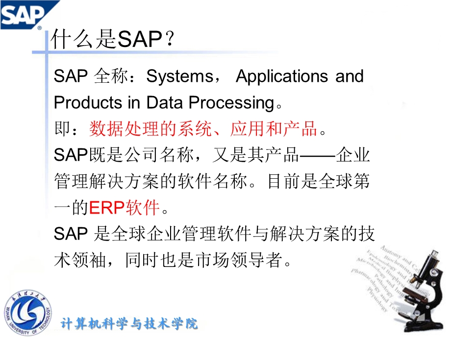 SAP及ERP概述-精选课件.ppt_第3页