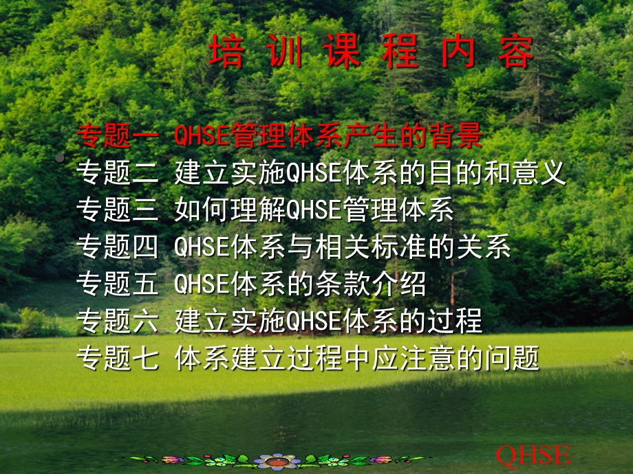 QHSE培训课程(-58张)课件.ppt_第2页