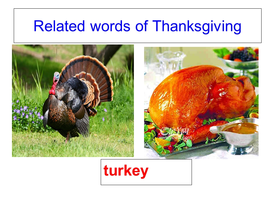 thanksgiving_day__上课最初讲稿_解析课件.ppt_第2页