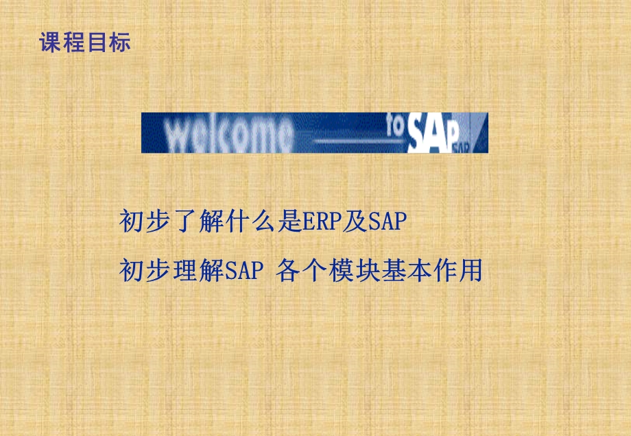 SAP业务蓝图案例及培训课件.pptx_第2页