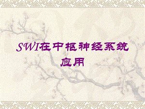 SWI在中枢神经系统应用培训课件.ppt