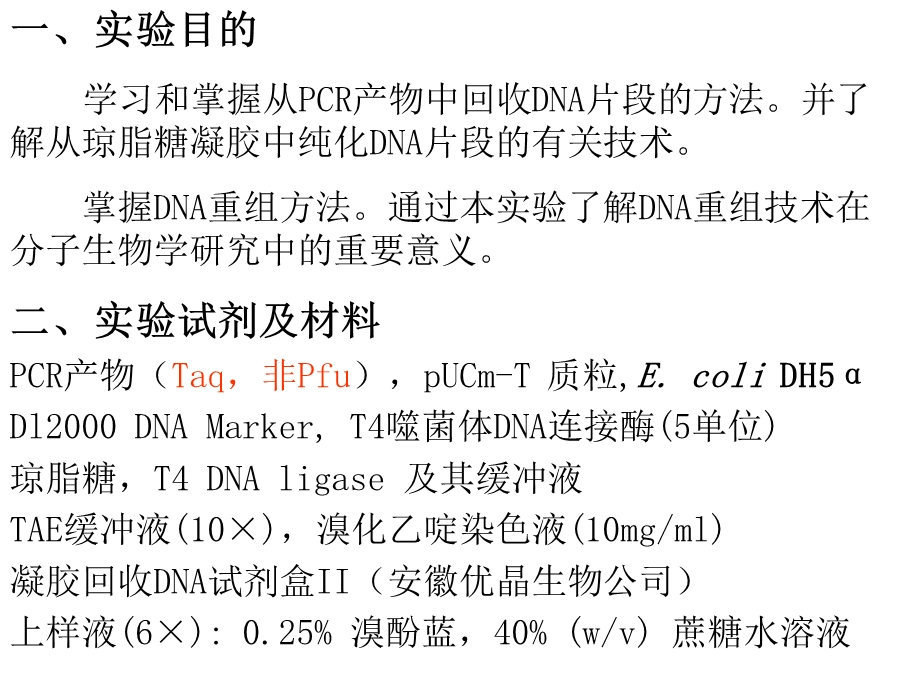 T4噬菌体DNA连接酶和大肠杆菌DNA连接酶课件.ppt_第2页