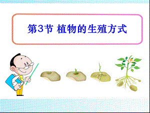 《植物的生殖方式》优秀课件.pptx