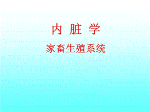 《家畜生殖系统》课件.ppt