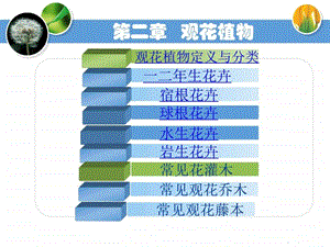 《常见花灌木》课件.ppt