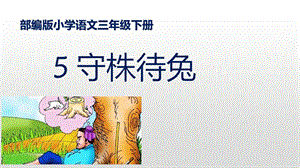 《守株待兔》优秀——部编版守株待兔优秀课件4.pptx