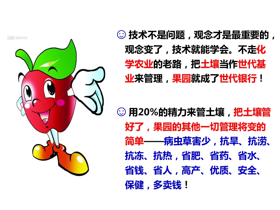 wdy苹果施肥与土壤保健课件.ppt_第2页