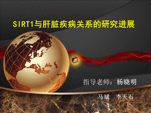 sirt1与肝脏疾病综述--课件.ppt