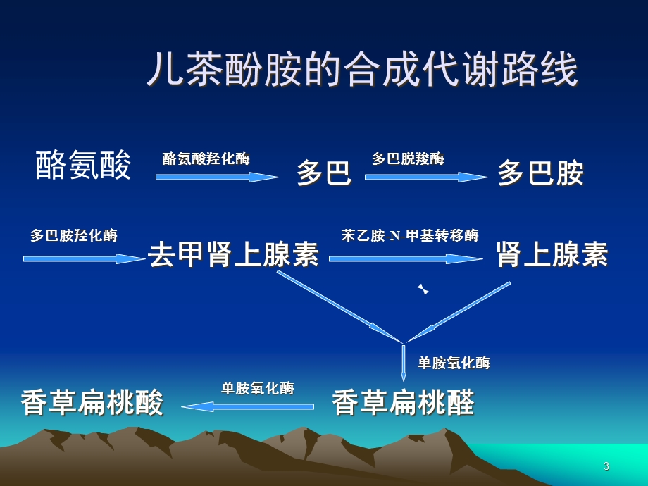 α受体激动剂(课堂)课件.ppt_第3页