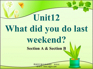 Unit-12-What-did-you-do-last-weekend-全单元4课时课件.ppt