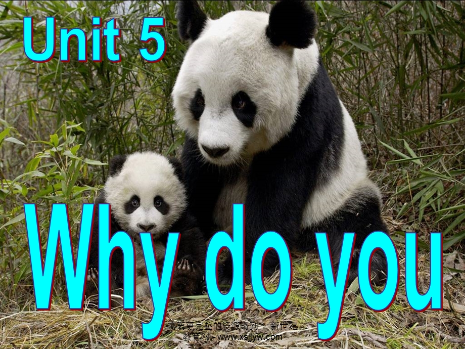 Unit-5-Why-do-you-like-pandas-全单元7课时课件.ppt_第1页