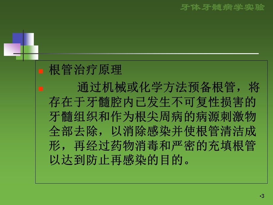 RCT根管治疗学习课件.ppt_第3页