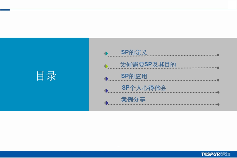 sp技巧培训课件.ppt_第2页