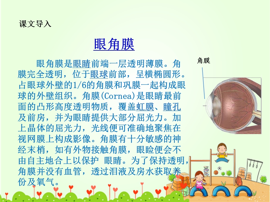 《永生的眼睛》课件2.ppt_第2页