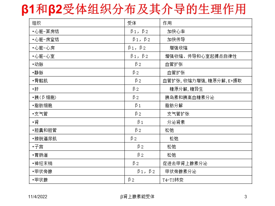 β肾上腺素能受体培训课件.ppt_第3页