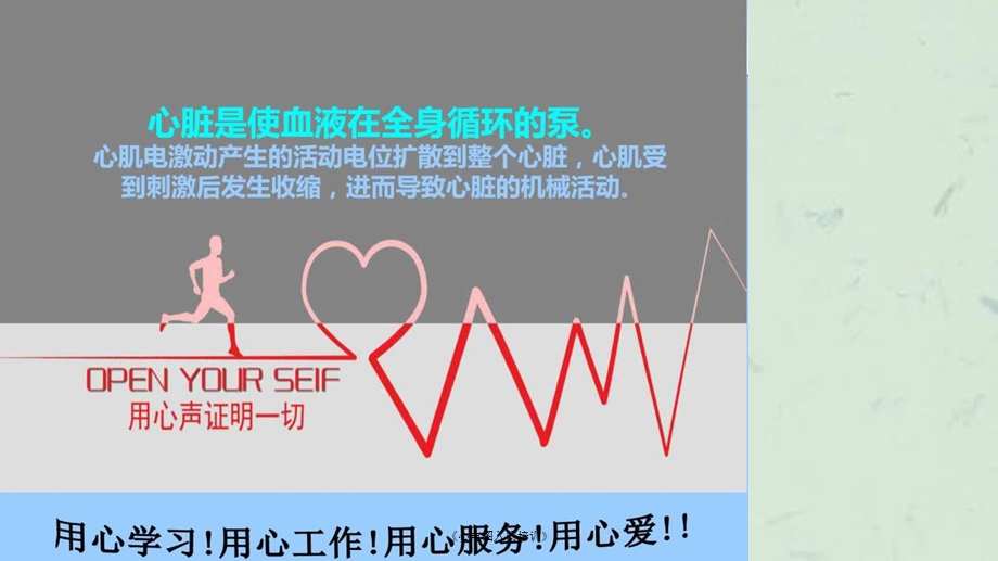 《心电图入门培训》课件.ppt_第2页