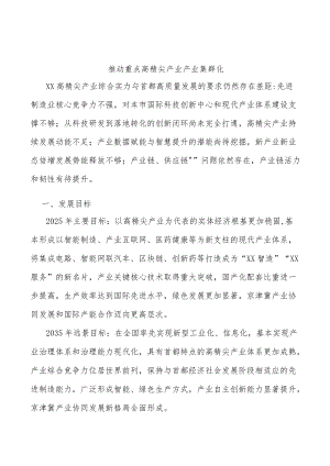 推动重点高精尖产业产业集群化.docx