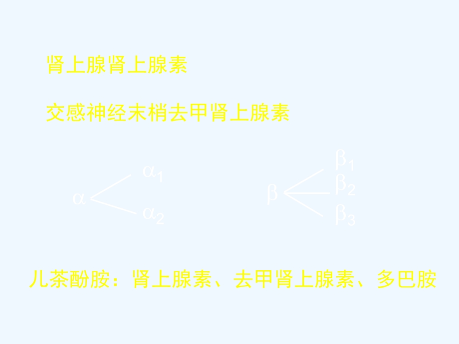 β受体阻滞剂在冠心病中的应用课件.ppt_第2页