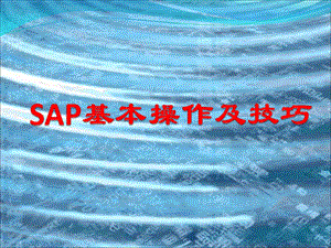 SAP基本操作及技巧课件.ppt