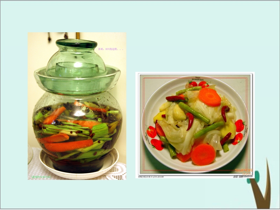 《制作泡菜并检测亚硝酸盐含量-》人教版课件完美版3.ppt_第2页
