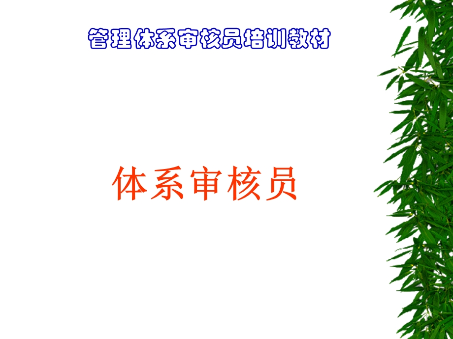 TS内审员培训教案课件.ppt_第2页