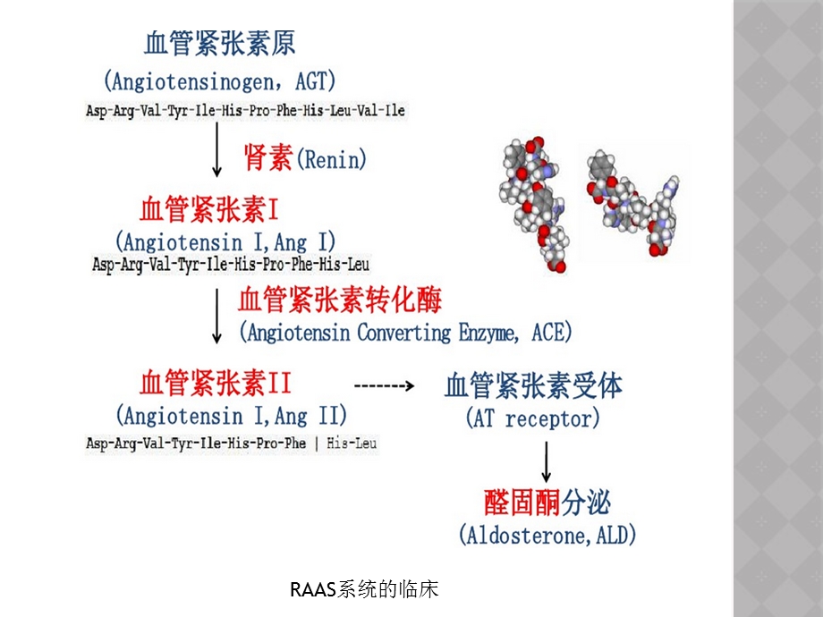 RAAS系统的临床培训课件.ppt_第3页