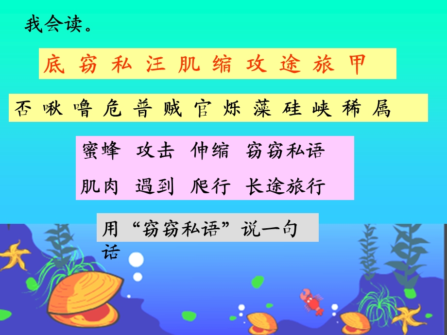 《海底世界》课-公开课一等奖课件.ppt_第2页