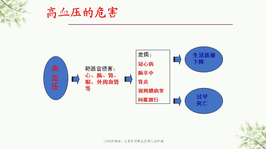 《内科护理学》之原发性高血压病人的护理课件.ppt_第3页