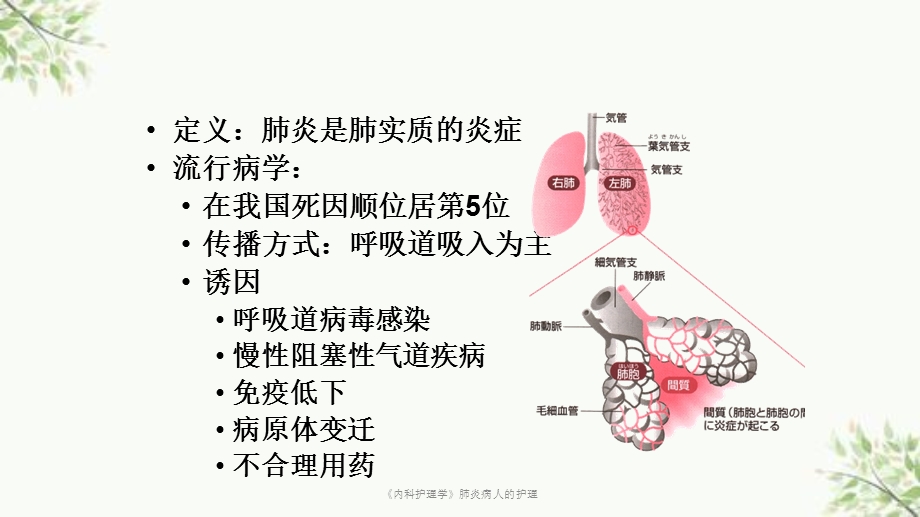 《内科护理学》肺炎病人的护理课件.ppt_第3页