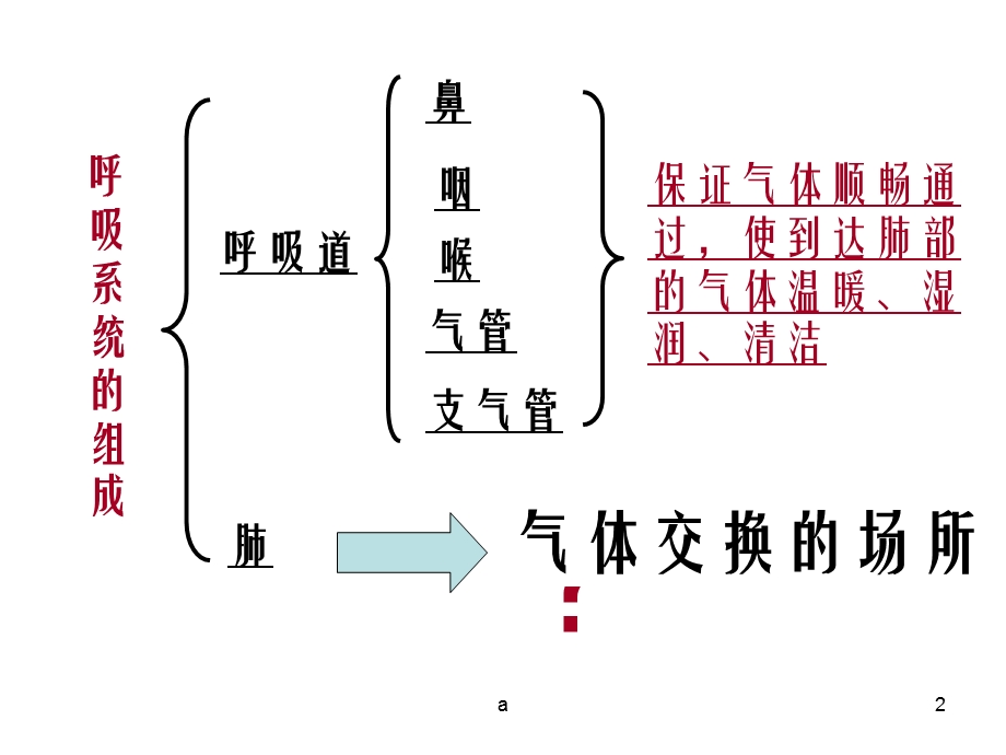 人教版生物七年级下册课件.ppt_第2页