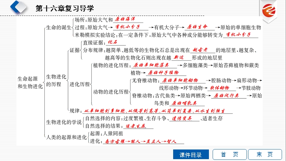 2019秋新导学苏教版八年级上册生物ppt课件.ppt_第3页