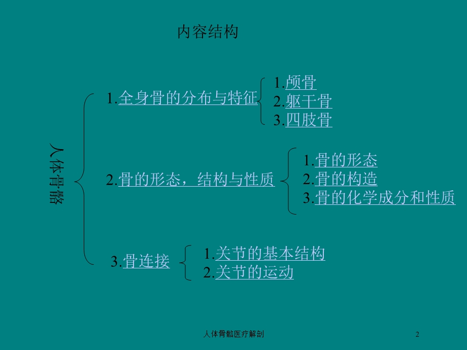 人体骨骼医疗解剖培训课件.ppt_第2页