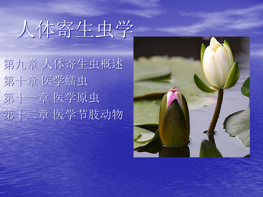 人体寄生虫学(讲稿)课件.ppt_第1页