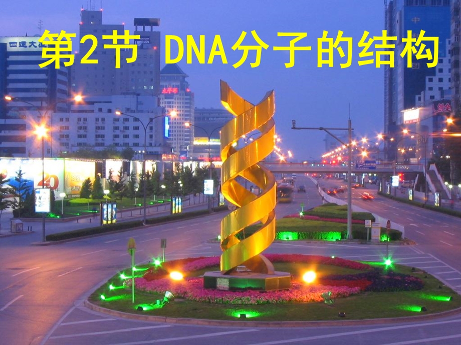 DNA分子的结构计算全部ppt课件.ppt_第1页