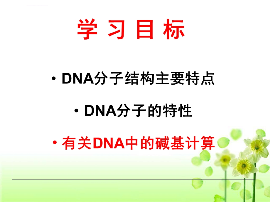 DNA分子的结构计算全部ppt课件.ppt_第2页