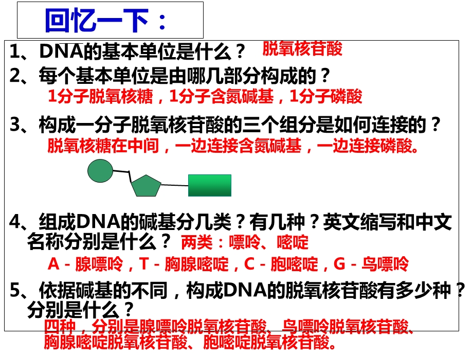 DNA分子的结构计算全部ppt课件.ppt_第3页