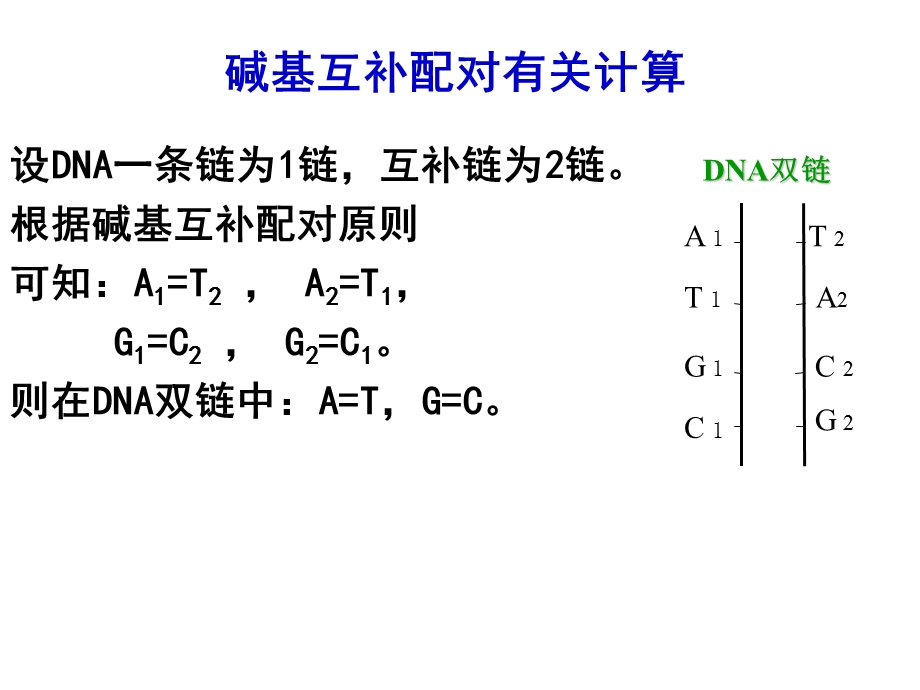 DNA分子的结构与复制计算ppt课件.ppt_第1页