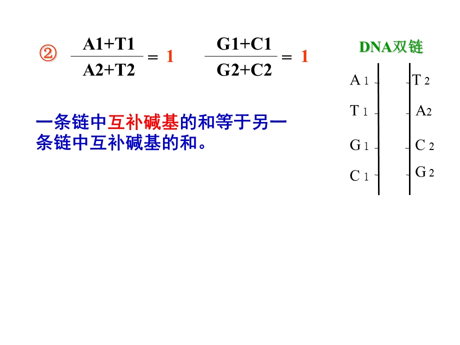 DNA分子的结构与复制计算ppt课件.ppt_第3页