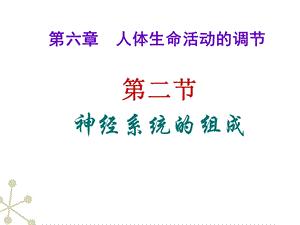 神经系统的组成ppt课件.ppt