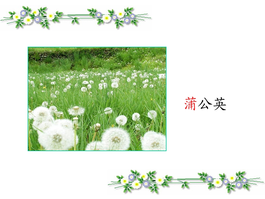 植物妈妈有办法-优秀课件.ppt_第2页