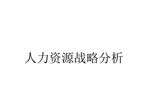 人力资源战略分析.ppt