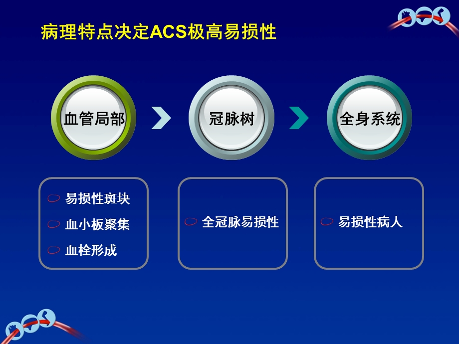 ACS疾病和长期抗血小板治疗的病理基础ppt课件.ppt_第2页