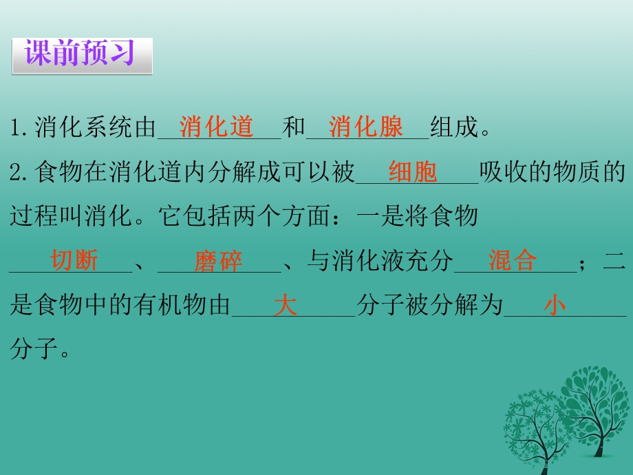 人教版七年级生物下册第四单元第二章第二节消化和吸收(共14张)课件.ppt_第3页