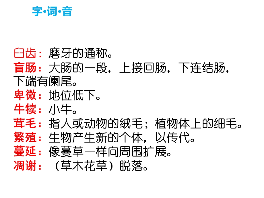 人教部编版八年级语文上册15《散文二篇》课件(共54张).pptx_第3页