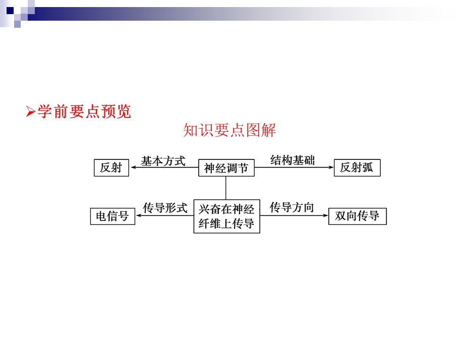 人教版必修3通过神经系统的调节课件(36张).ppt_第2页